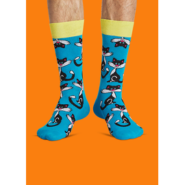 Носки Хитрый кот