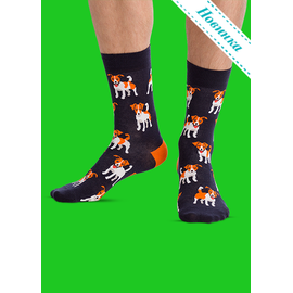 Носки Щенята Джека-рассела