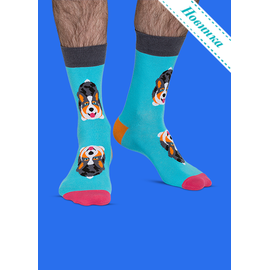 Носки Уэльский корги