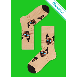 Носки Сиамские котята