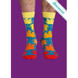 Носки Легенды осени