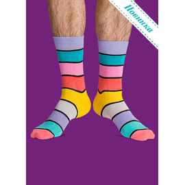 Носки Палитра