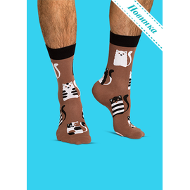 Носки Кофейные коты