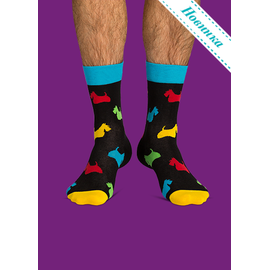 Носки Двойной скотч-терьер