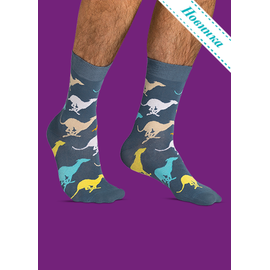 Носки В погоню!