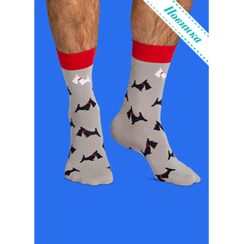 Носки Четвероногий друг