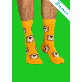 Носки Бобры добры