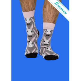 Носки Чаепитие у кролика