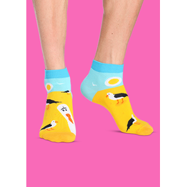 Носки Чайка Джонатан