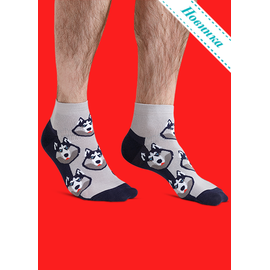 Носки Щенок хаски