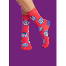 Носки Шотландская вислоухая кошка