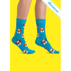 Носки Бульдожка