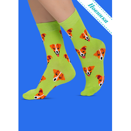 Носки Джек-рассел на лужайке