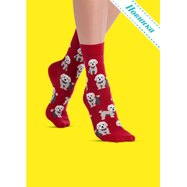 Носки Щенок породы мальтезе