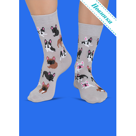 Носки Французский бульдог