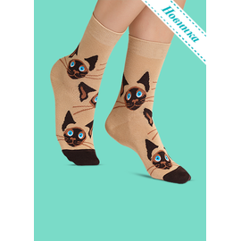 Носки Сиамские котята