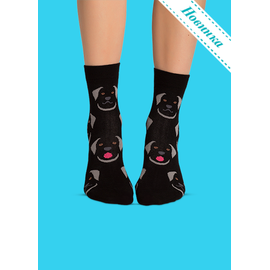 Носки Гибралтар