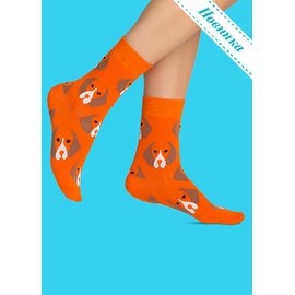 Носки Бигль-Бигль