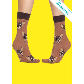 Носки Чихуа-Хуа