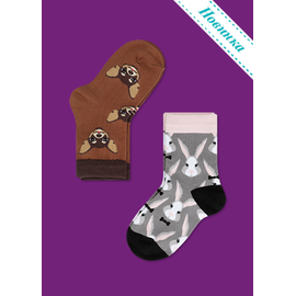 Носки детские (2 пары) Кролики и чихуа