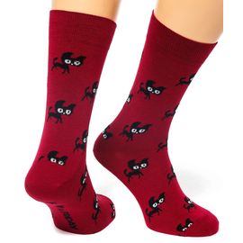 Cat Walks. Бордо