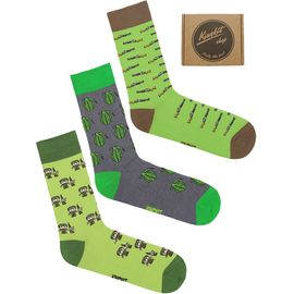 Носки, 3 пары Kingkit