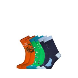 Набор носков в коробке Big Bang Socks