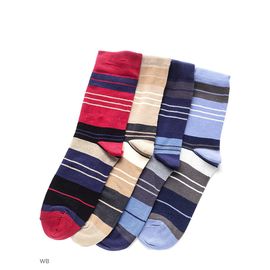 Носки мужские, 4 пары Хох