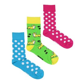 Носки, 3 пары Kingkit