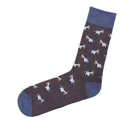 Носки «Осёл» Kingkit