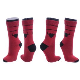 Носки с индивидуальным дизайном FE-35