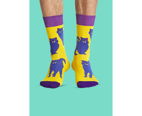 Носки Британские котики