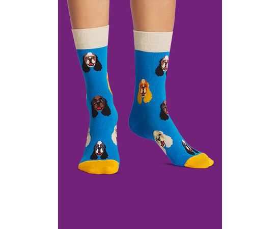 Носки Коккер спаниель