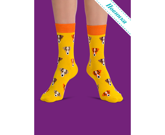 Носки Джек-рассел