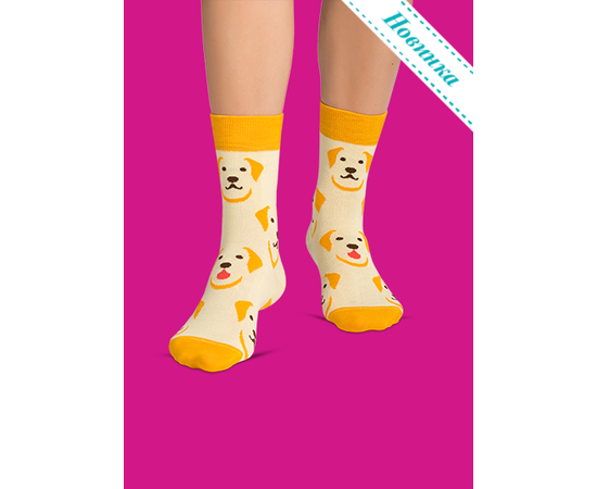 Носки Лабрадор