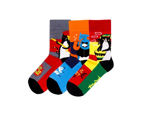 Комплект Коты - 3 пары Tatem Socks
