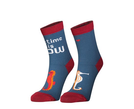 Носки Big Bang Socks