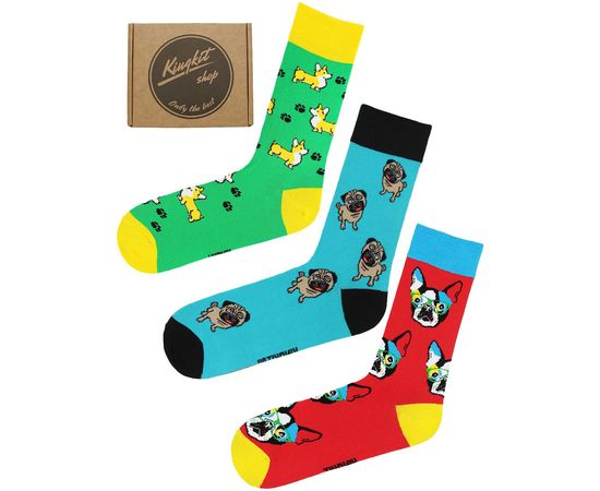 Носки, 3 пары Kingkit